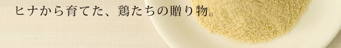 ヒナから育てた、鶏たちの贈り物。